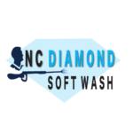NC Diamond Soft Wash Logo Design
